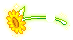 潮汐Big Sunflower 预览