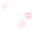 Pink Moonlight Trace 预览