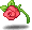 Black Camel Rose
