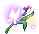潮汐Sage Realm Blossom