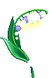 潮汐Spring Fairy Flower 预览