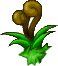 魔法密林高山植物