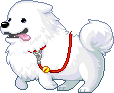 潮汐Walking with Samoyed Mount 预览