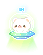 Aro 预览