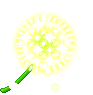 潮汐Permanent Dandelion Puff Mount 预览