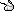 潮汐White Squirrel Paws 预览