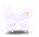 潮汐Dew Spring Fairy