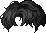 Black Hushy Hair