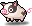 Spotty Piggy