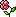 Nenne's Flower 预览