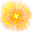潮汐Golden Flash