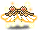 潮汐Love and Steampunk Wings