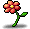 Red Snail Flower