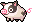 Spotty Piggy 预览