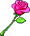 潮汐Romantic Rose 预览