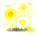 潮汐Sunflower Flower Rain