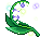 潮汐Spring Fairy Flower